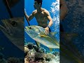 Deep Sea Fishing Adventure 🌊🐟 | Dangerous Underwater Spear Fishing in Ocean!#fishing #youtubeshorts