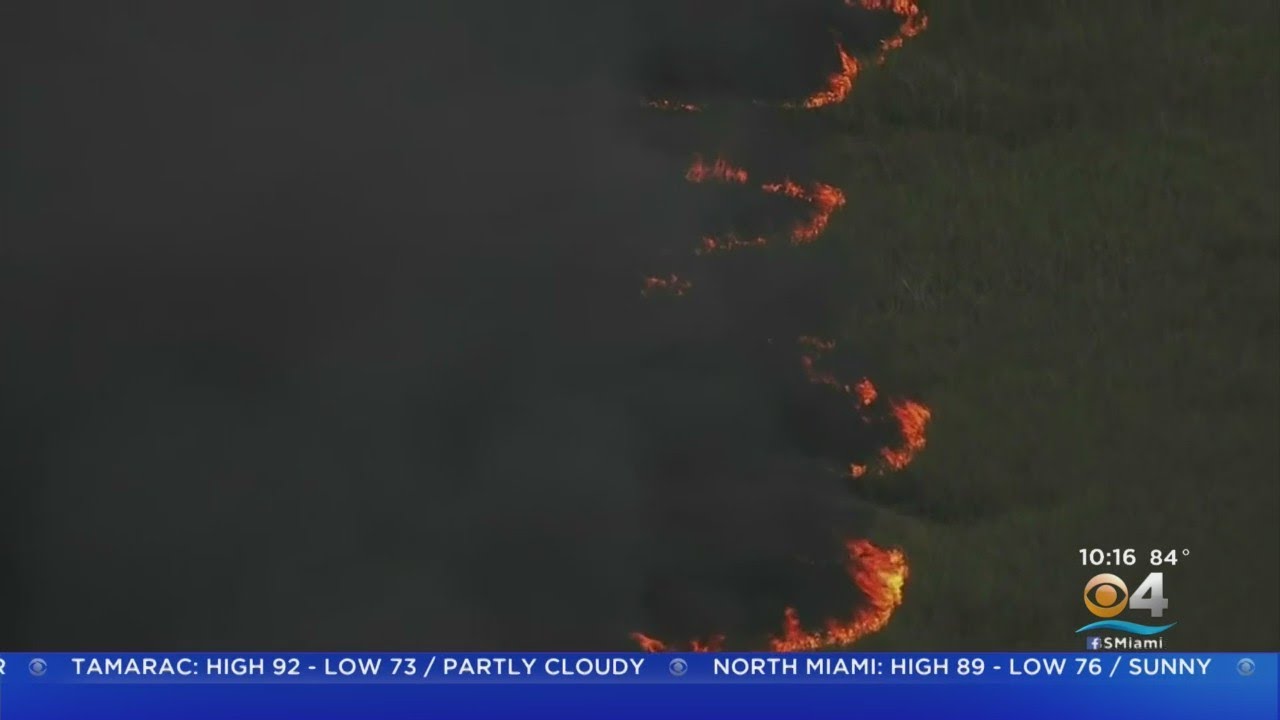 Brush Fires Continue To Burn In Everglades - YouTube