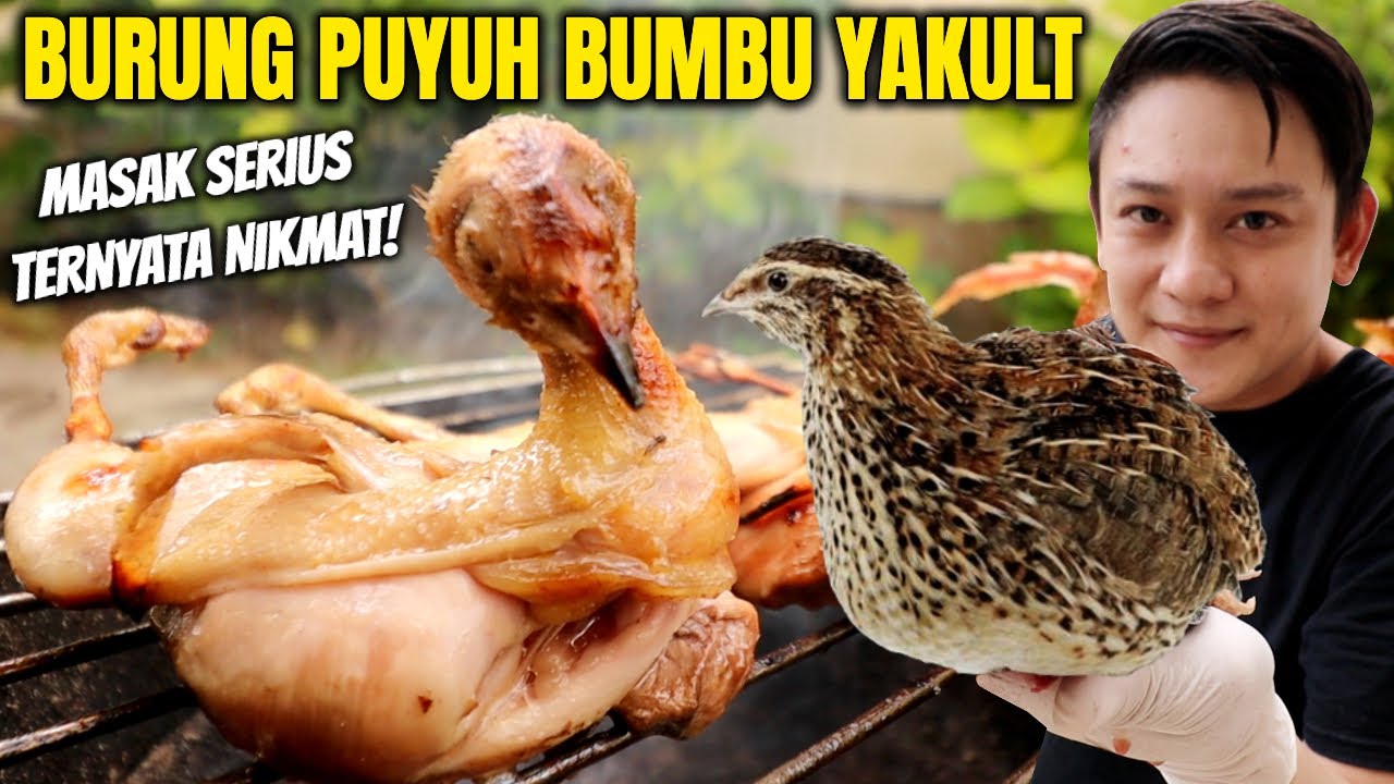 BUYUNG PUYUH BUMBU YAKULT. BURUNG APA AYAM? KOK ALOT. 