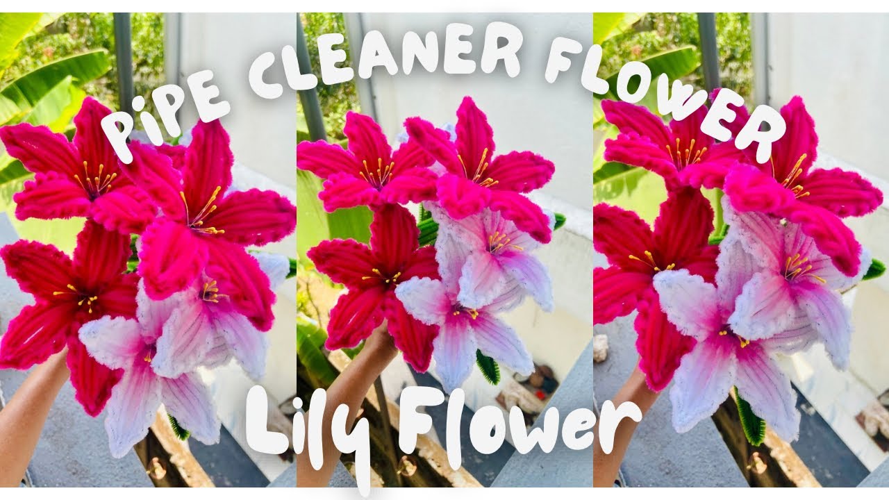 How to make Pipe Cleaner Lily Flower| Handmade DIY Pipe Cleaner Flower| Pipe Cleaner Craft