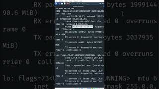 Change MAC Address #shorts #short #kali #hacker