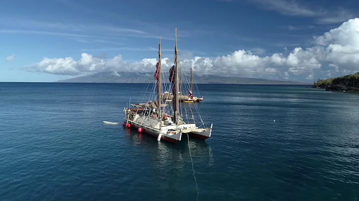 Hklea @ Honolua bay