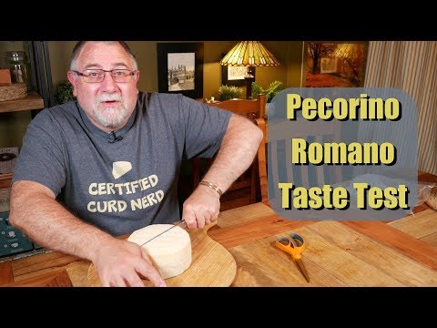 Pecorino Romano Taste Test