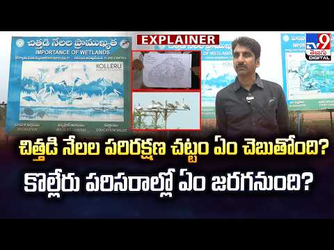 Explainer : చిత్తడి నేలల పరిరక్షణ చట్టం ఏం చెబుతోంది? కొల్లేరు పరిసరాల్లో ఏం జరగనుంది? - TV9 - TV9