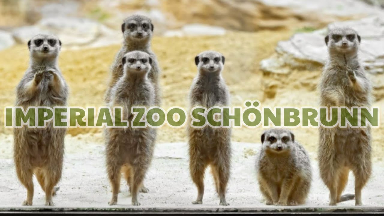 Tiergarten Schönbrunn | Imperial Zoo Vienna, 1130 | Part 2