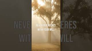 God will never interfere with your will  Billy Graham | Sermons by great preacher Wealth