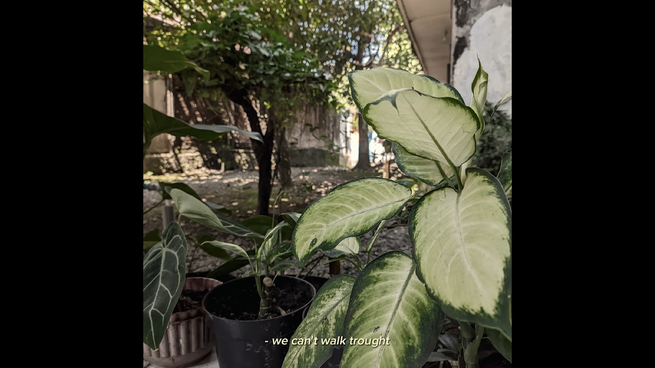 Senyumin aja hihi 😁