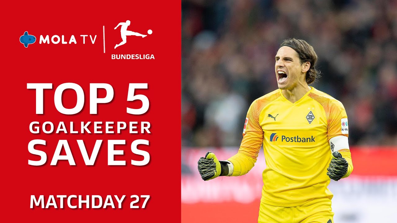 BUNDESLIGA | Top 5 Goalkeeper Saves All Players Matchday 27