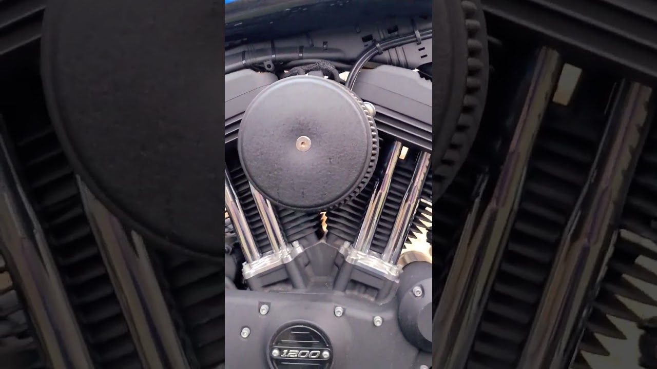 Harley Sportster Iron 1200 sound 