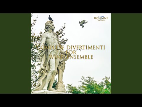 Henk De Graaf, Jan jansen, Remco De Vries, Sandra Zoe, Ron Tijhuis, Irma Kort, Johan Steinmann, Dymphna Van Dooremaal, Martin Van De Merwe, Jos Buurman - Divertimento in B-Flat Major, K. Anh. 227: III. Adagio
