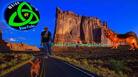 The smartest dog in the world | 60 Minutes Archive