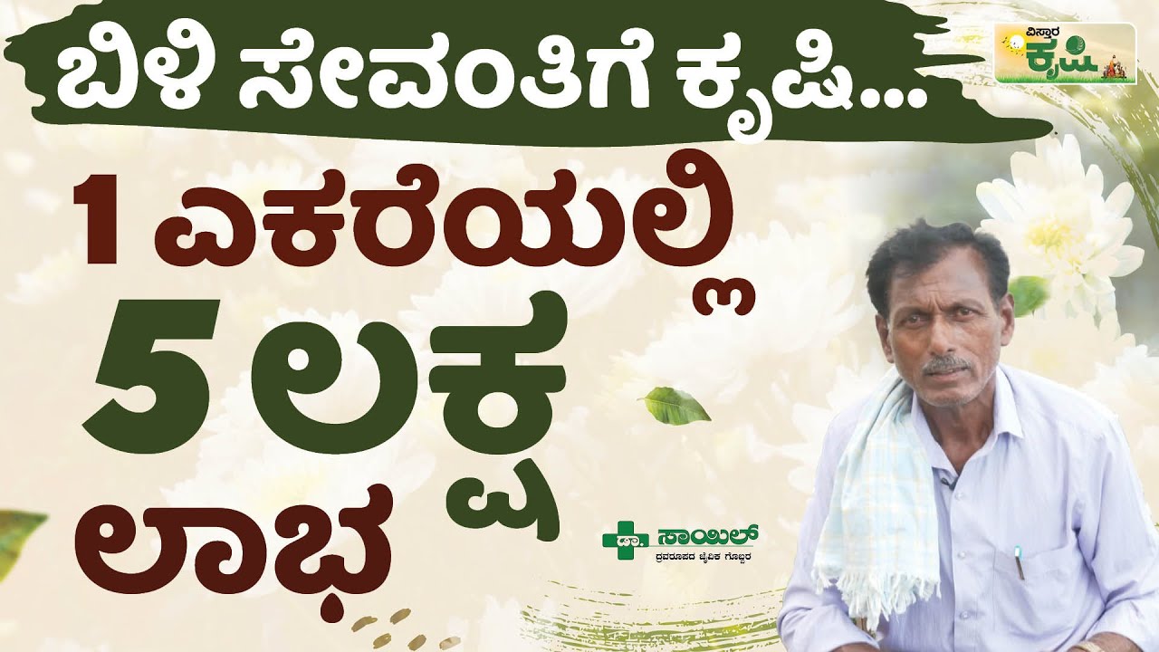 1 ಎಕರೆಯಲ್ಲಿ 5 ಲಕ್ಷ ಲಾಭ..! | Vistara Krishi | Sevanthige Flower Farming | ಬಿಳಿ ಸೇವಂತಿಗೆ ಕೃಷಿ