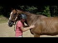 Life after Racing | Past The Point