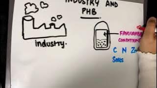 Understanding PHB: Better know a polymer