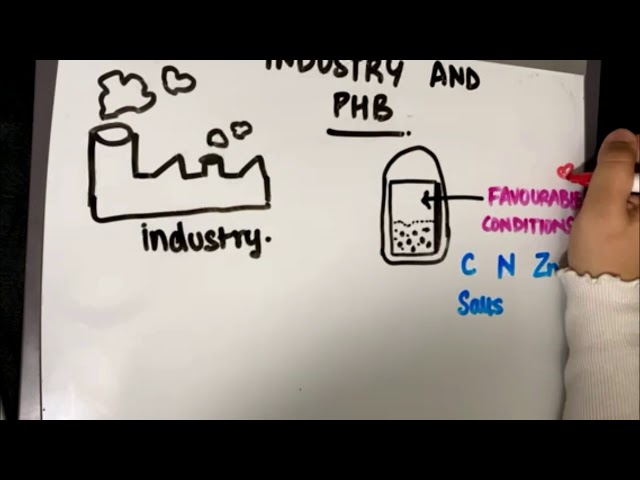 Understanding PHB: Better know a polymer class=