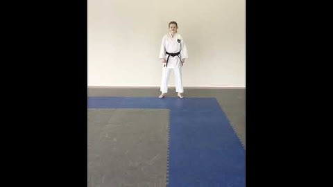 Jodan Uke-Gyakuzuki and Gedan bari-Gyakuzuki