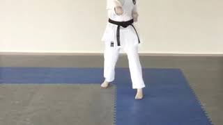 Jodan Uke-Gyakuzuki and Gedan bari-Gyakuzuki
