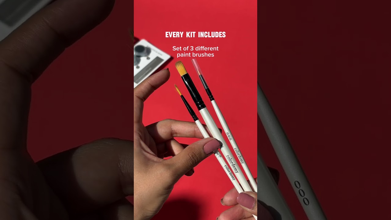 Unboxing the Colordemy Paint by Numbers Kit  