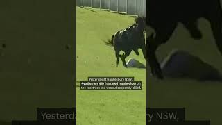 Racehorse fractured his shoulder and was killed💔#horseracingkills #YouBetTheyDie #nuptothecup