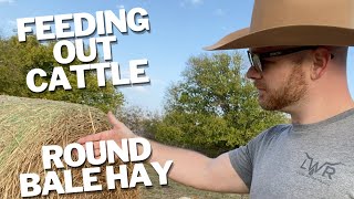 Feed Out Round Bale For Cattle the RIGHT Way!