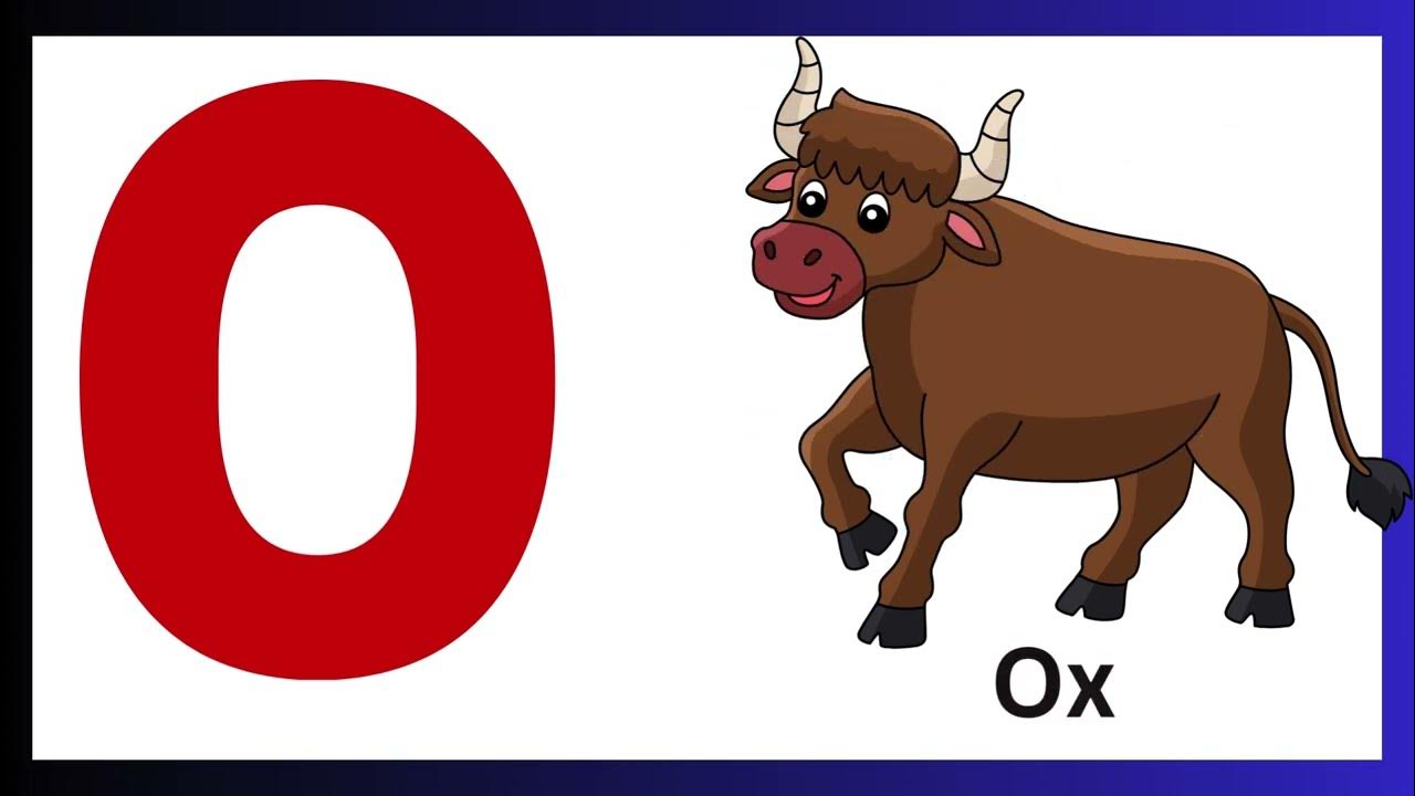 Letter o abc alphabet video chart learning the letters and english