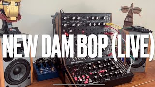 New Dam Bop Live - Moog Sound Studio Dfam, Mother-32, Subharmonicon
