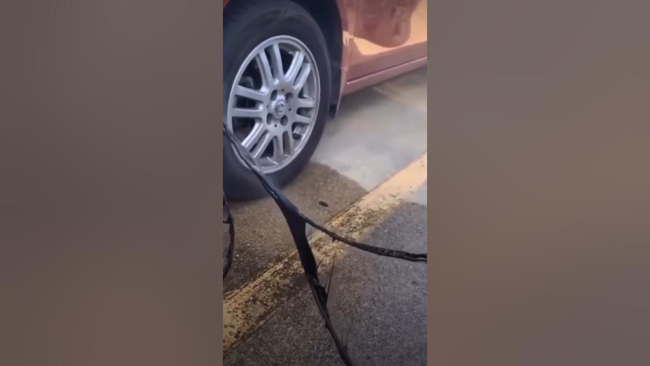 This is what happens when u put the jumper cables on backwards YouTube