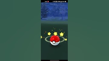 Hundo Eevee caught in the wild || Pokemon Go