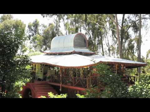 Kenyan Artwork Growing In International Popularity