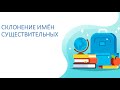 Русский язык 3 класс. Склонение имён существительных