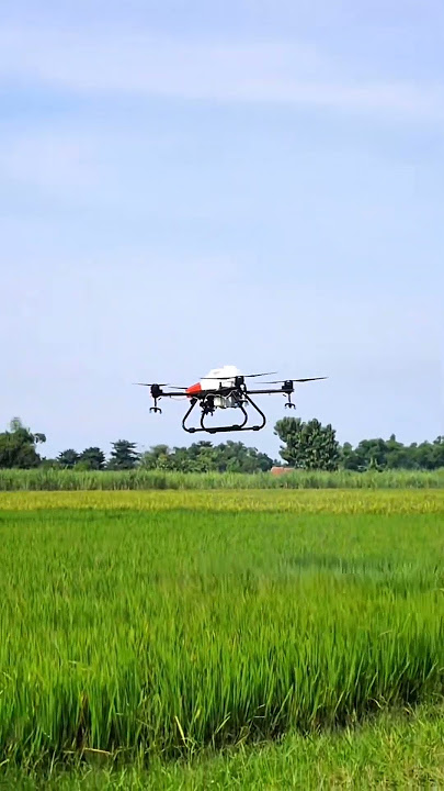 🚁 Petani Masa Depan Gunakan Drone! 🌾Kesadaran teknologi adalah kunci! 🔑Petani milenial sadar