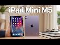 The iPad Mini M5 Official Release Date: Is This the Best Portable Tablet EVER?