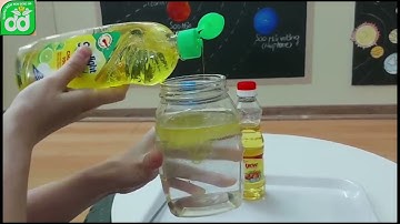 Thí nghiệm " Nước rửa bát thần kì " - Giáo viên: Minh Phượng