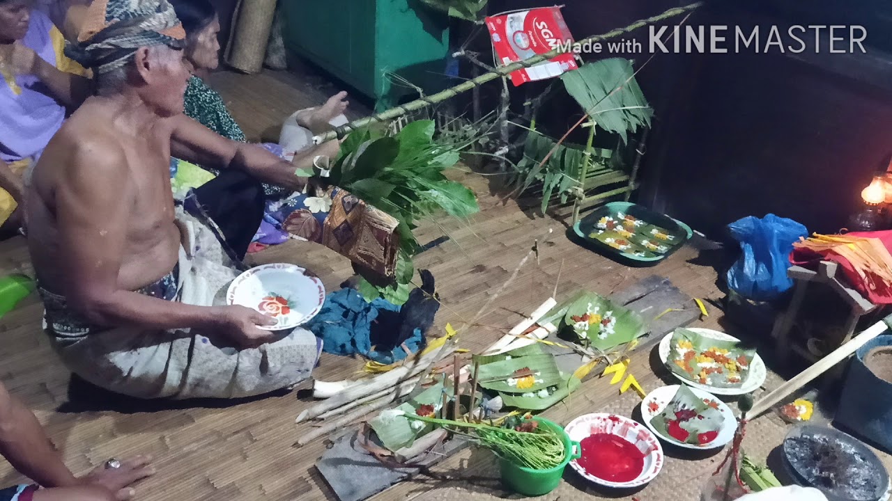 Dusun malang (Belian bawo#blai padi#)menyembuhkan penyakit