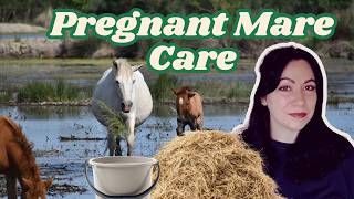 Pregnant Mare? DO NOT Miss This!(Foaling Guide from Start to Birth)