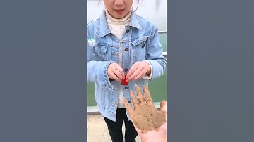 Những Vật Dụng Đa Năng & Tiện ích Trong Đời Sống Hiện Đại #1231