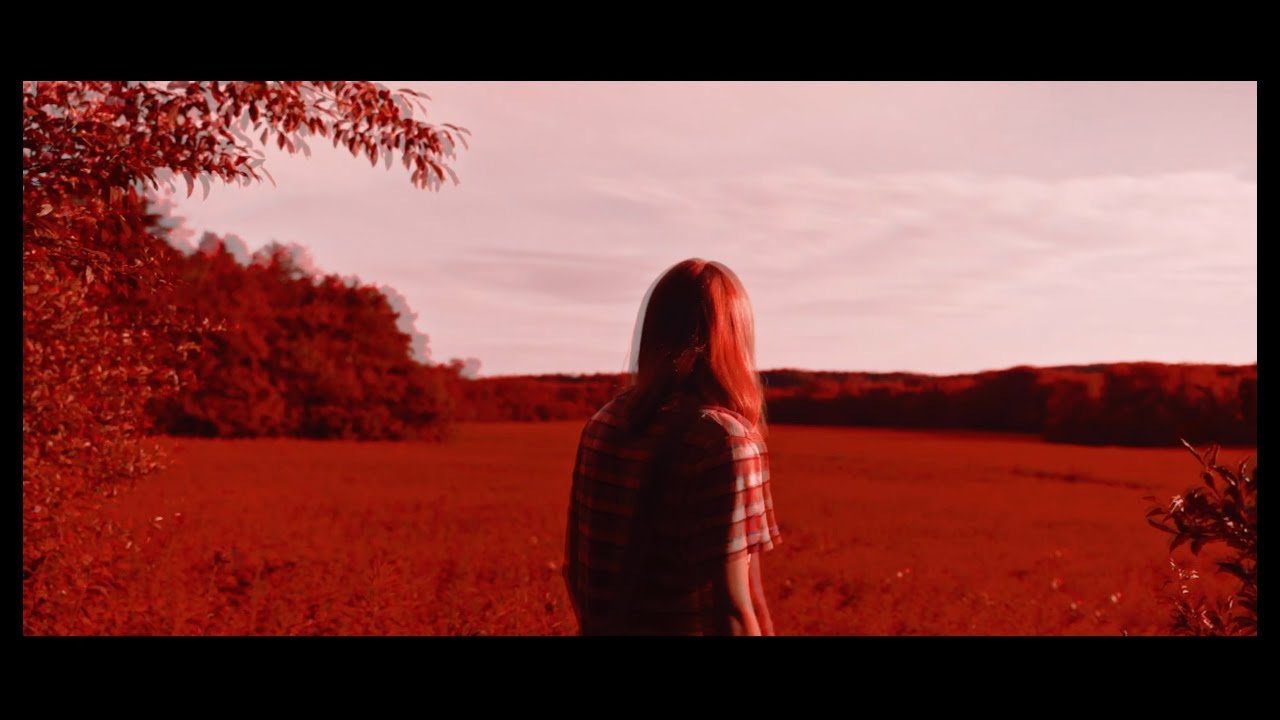 Spirit of the Bear - Opaque (Official Music Video)