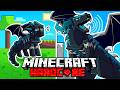 لقد نجوت من 100 يوم بصفتي تنين واردن في HARDCORE Minecraft