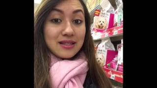 Produtos Que Vende No Japão Para O Seu Cãozinho.