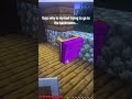 Help #minecraft #fyp #bed #backrooms #wth