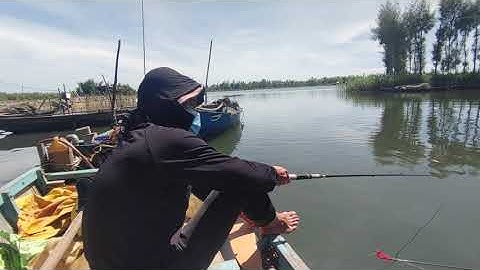 Câu cá Ngạnh sông bằng mồi con trùn cá ăn lia lịa