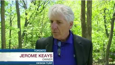 Artificial Grass Toronto