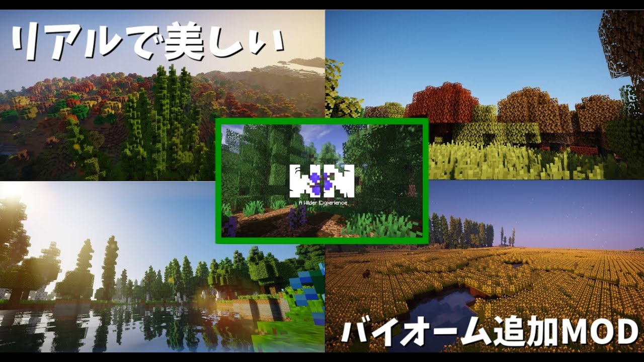 Wildnature マイクラにリアルで美麗なバイオームを追加するmod Minecraft 1 12 2 1 14 4 Mod紹介 Youtube