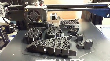 Save Pangolins - A Time Lapse of 3D printing a Save Pangolin model