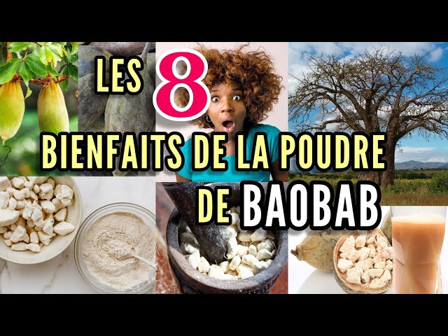 Les bienfaits de la poudre baobab 