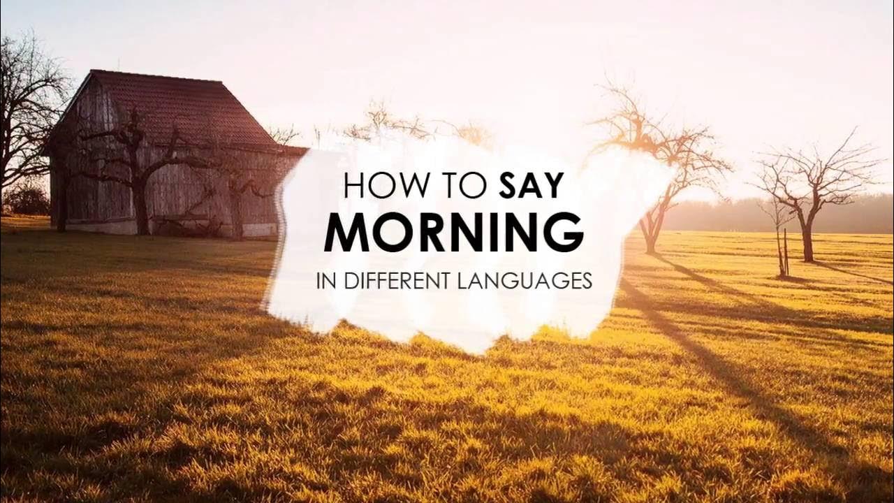 Daily language. Daily language