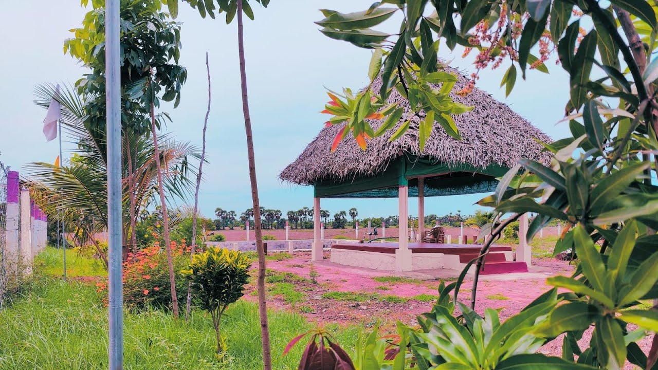 no-191-beautiful-farm-land-property-3-5-acres-for-sale-near-ecr-palar