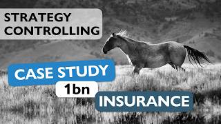How I Built a Strategy Controlling Framework for a €1bn Insurance Group | Case Study Net Worth