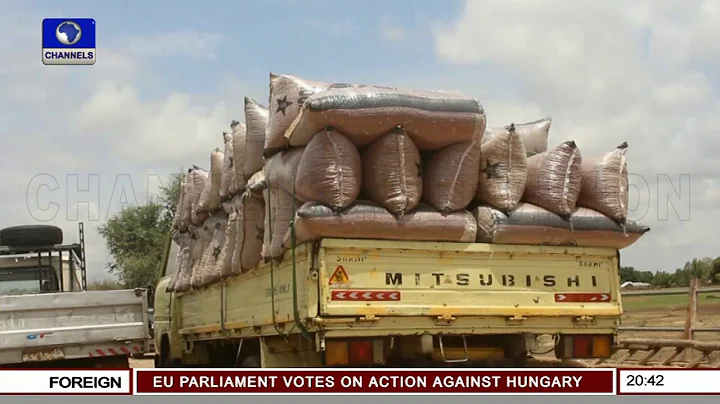 Focus On Extreme Hunger And Malnutrition Pt.2 | Earthfile |