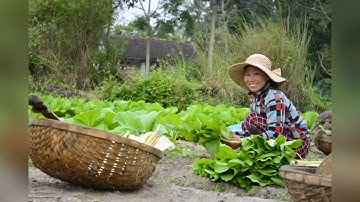 Video clip hát Quốc ca tại các địa chỉ đỏ - TrườngTHCS Ngô Quyền
